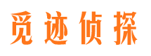 龙华调查公司